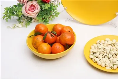 সলিড কালার প্লেট